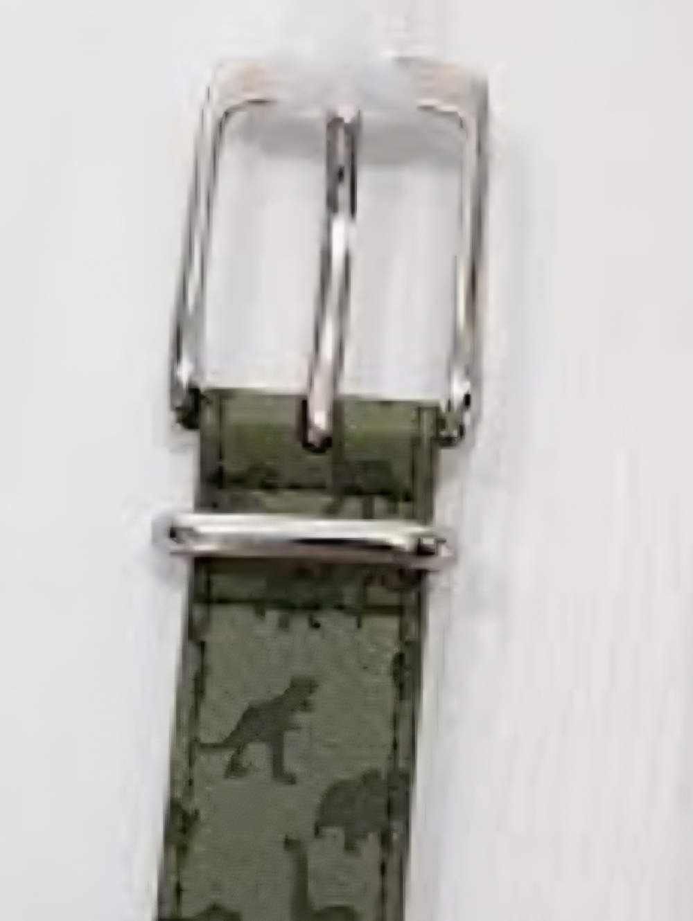 Green Canvas Dog Print Belt New Small DINOUSARS Kids